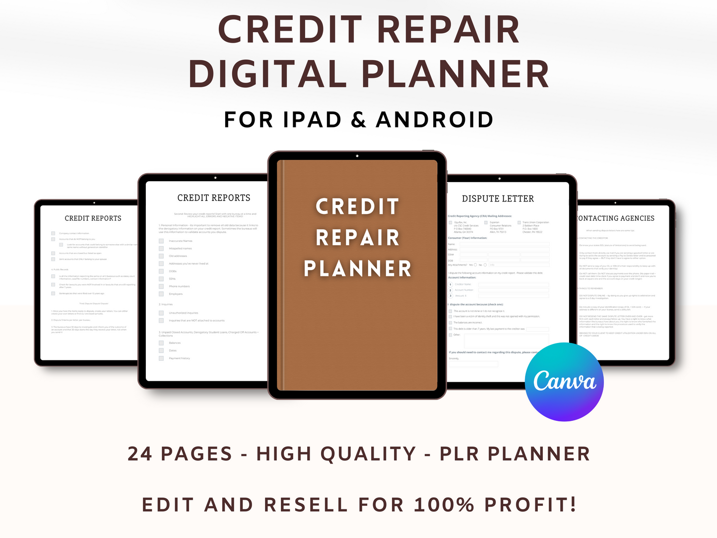 Credit Repair Digital Planner