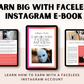 Earn Big With A Faceless Instagram Account Guide